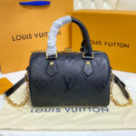 Louis Vuitton Speedy Bandouliere 20 M58953 M59273